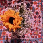 دانلود آهنگ لنگه دلوم تنگه دلوم دقیقا حال این آهنگه دلوم